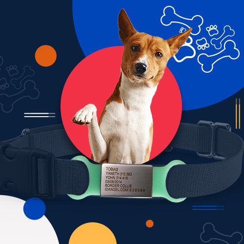 Pet ID Classic